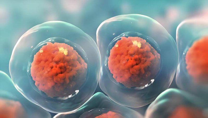 生物技术研发:开启未来医疗新纪元